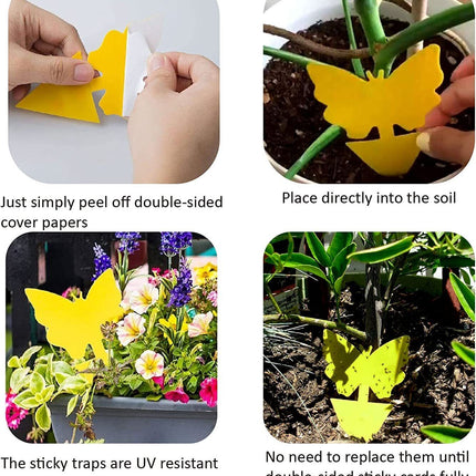Dual Sided Strong Sticky Trap Insect Killer