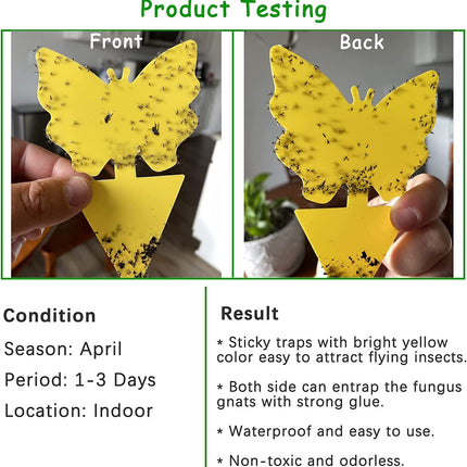 Dual Sided Strong Sticky Trap Insect Killer